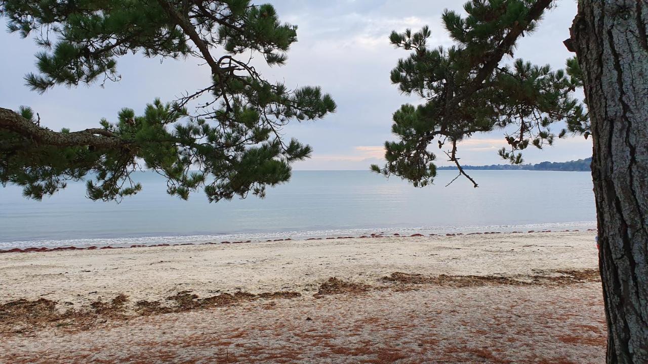 Vacances O Cap Coz - Jardin Vue Mer Et Piscine - Residence Cap Azur Fouesnant Εξωτερικό φωτογραφία